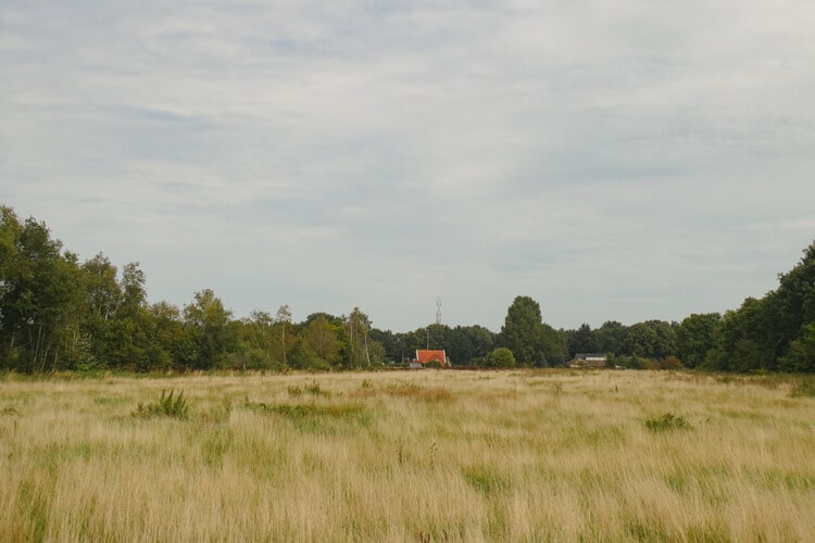 Grassig veld dat uitkijkt op het dorp Weiteveen tijdens het Noaberpad