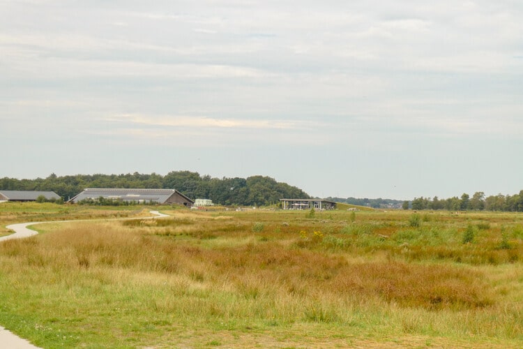 Restaurant Wollegras in de verte in het Bargerveen