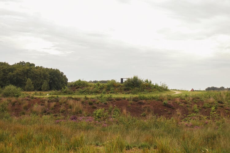 Uitkijkpunt in het Bargerveen tijdens het Noaberpad