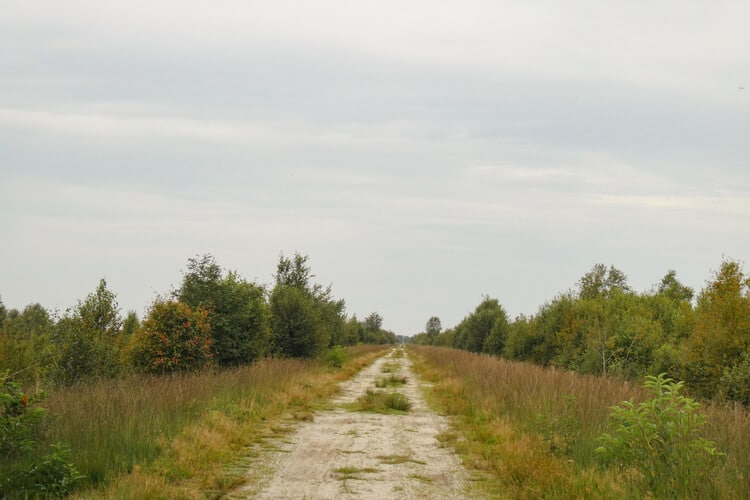 Zandpad door het Bargerveen tijdens het Noaberpad