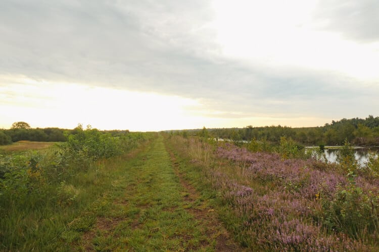 Wandelpad door het Bargerveen tijdens het Noaberpad