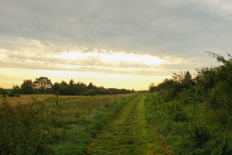 Wandelpad Noaberpad door het Bargerveen